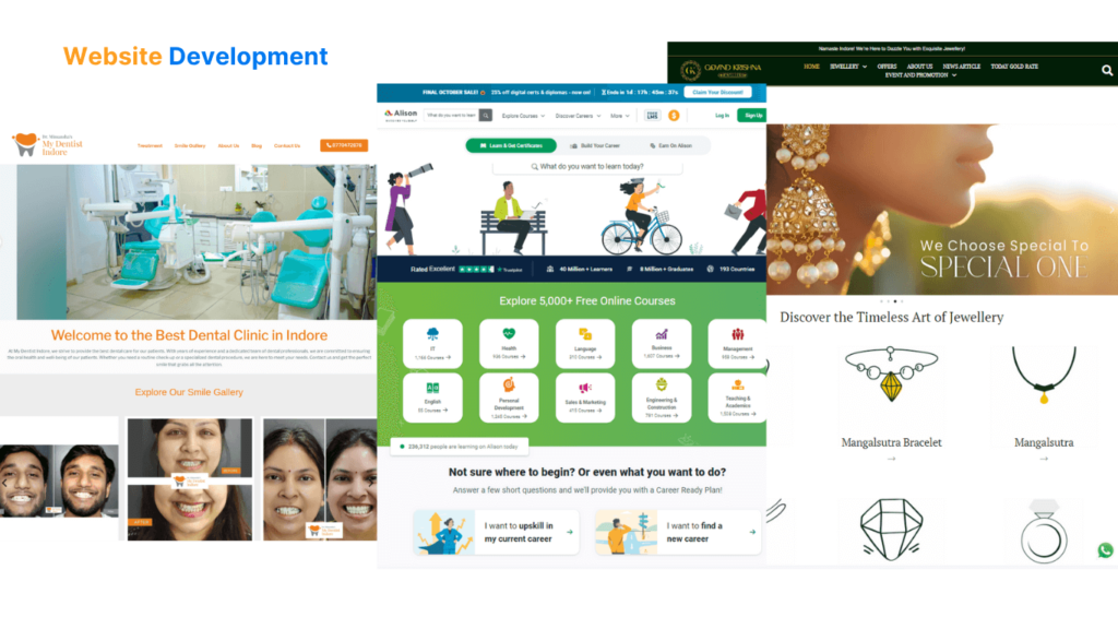 Our portfolio